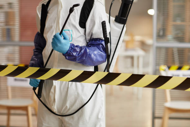 Professional Sewage Cleanup technician working in Nellis AFB, NV