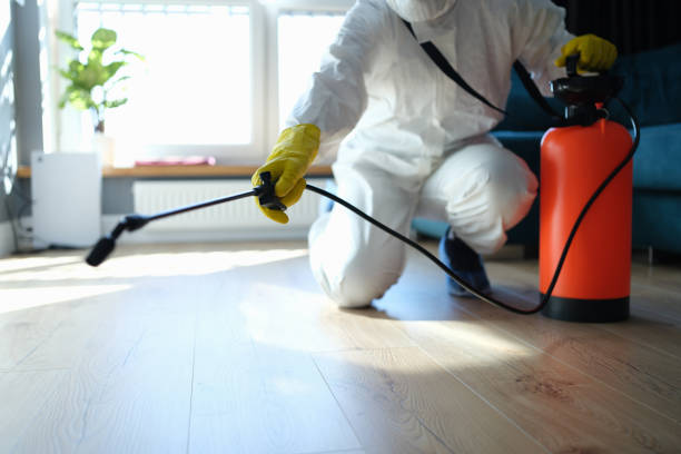 Trusted Biohazard Cleanup service in Nellis AFB, NV - Four Month Blood Cleanse